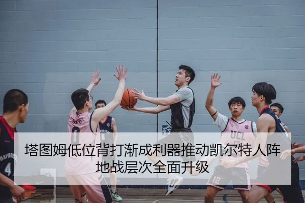 塔图姆低位背打渐成利器推动凯尔特人阵地战层次全面升级